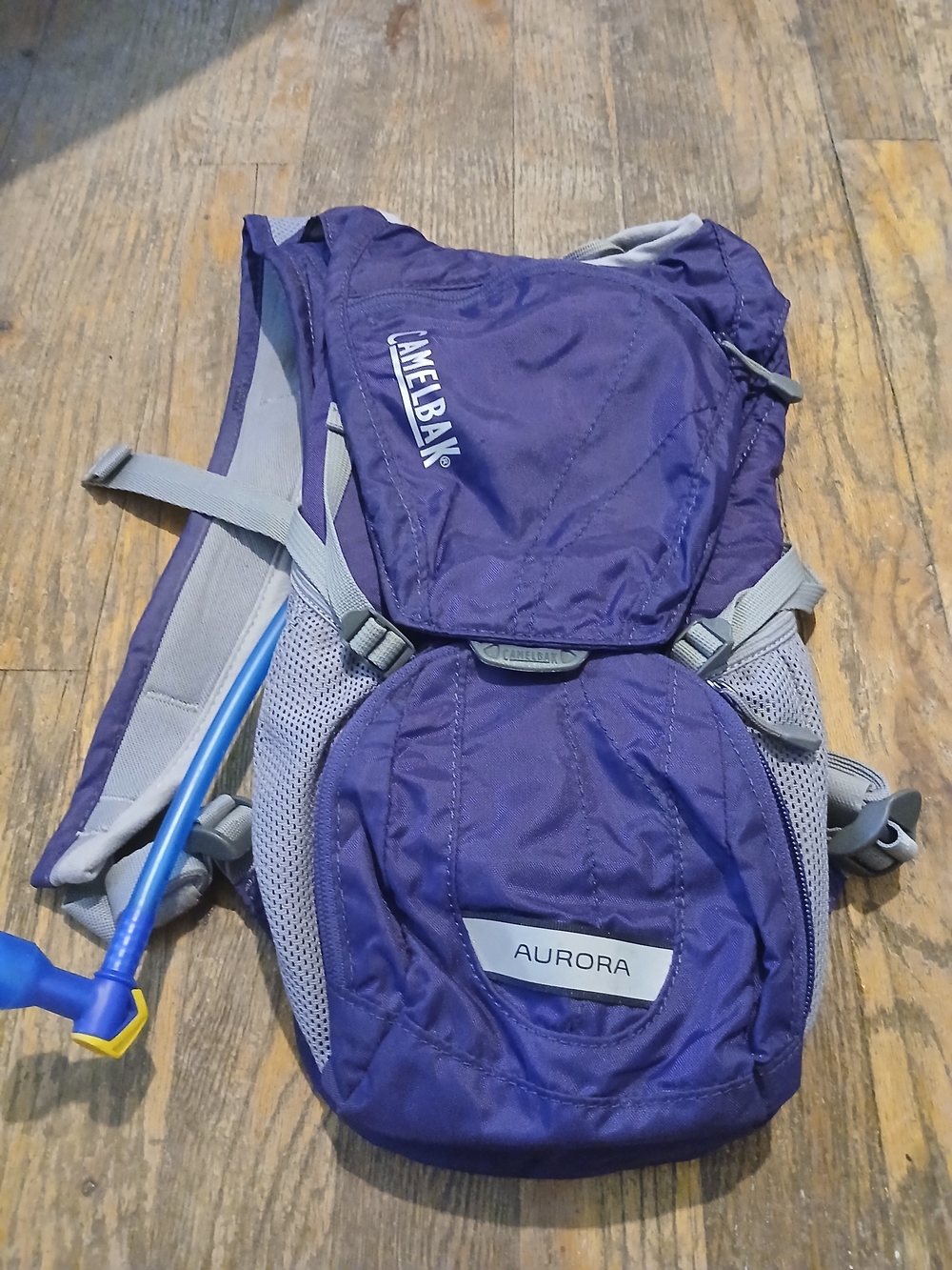 CamelBak Aurora Women's Purple Hydration Pack